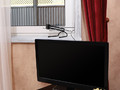 ТВ-Антенна комнатная для цифрового телевидения DVB-T2 (модель RX-252) Rexant 34-0252