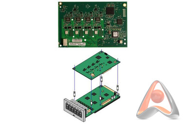 700417462 / Avaya IPO IP500 TRNK PRI UNVRSL DUAL, дочерняя плата PRI транка (подержанная)